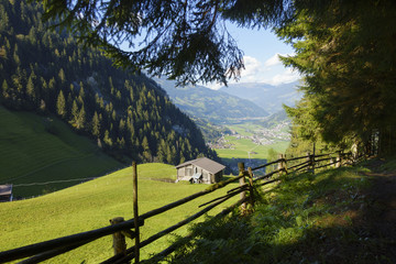 Waldweg mit Blick ins Zillertal