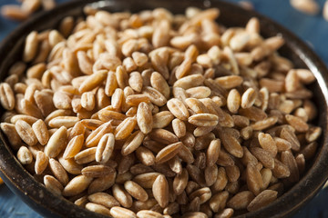 Organic Raw Farro Grain