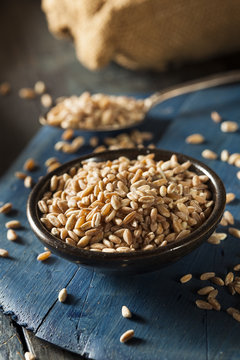 Organic Raw Farro Grain