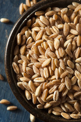 Organic Raw Farro Grain