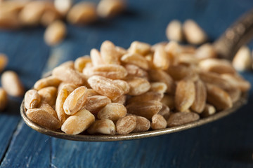 Organic Raw Farro Grain