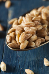 Organic Raw Farro Grain