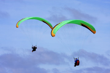 paragliders