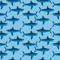 Shark seamless pattern