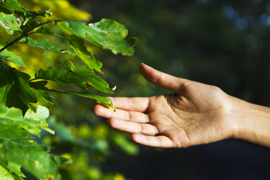 In Touch with Nature