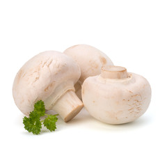 Champignon mushroom