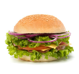 Junk food hamburger