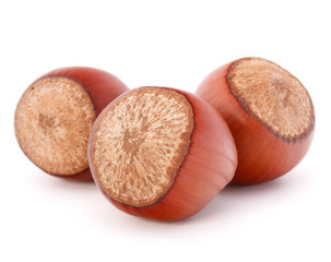 hazelnut or filbert nut isolated on white background cutout