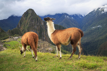 Machu Picchu, Peru, UNESCO World Heritage Site. One of the New S