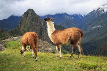 Fototapete Machu Picchu, Peru, UNESCO World Heritage Site. One of the New S © sunsinger
