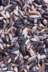 topview closeup of low quality berry rice