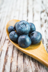 Blueberry