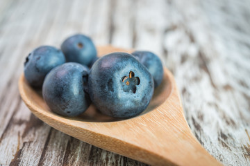Blueberry