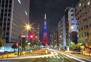 Fototapeta na wymiar 東京タワーの夜景