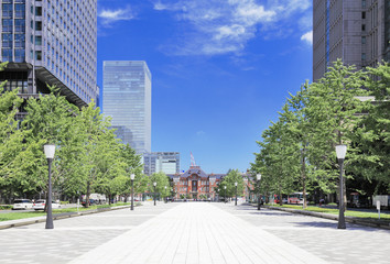 Fototapeta premium 行幸通り