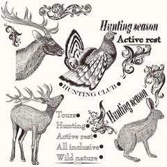 Fototapeta premium Collection of hand drawn animals in vintage style for hunting de