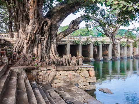 An Ancient Temple And Banyan Tree