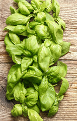 Basil leaves on wooden background