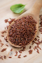 Close-up of red rice kernels in a wooden spoon, vertical shot