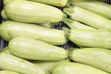 vegetable marrows in a crate