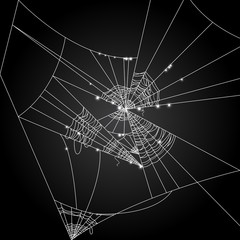 Cobweb vector