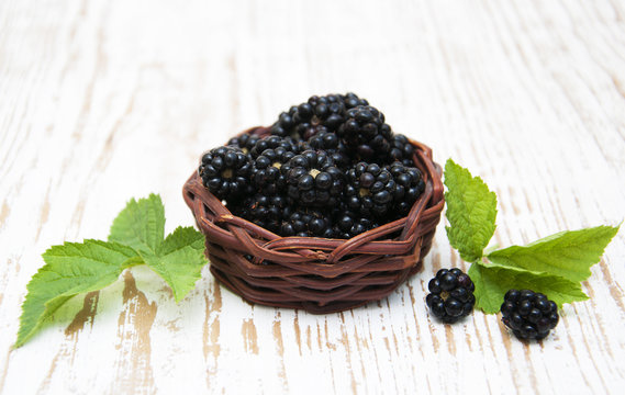 Basketl of Blackberries