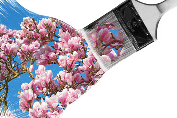Fototapety na wymiar - Fototapeta24.pl