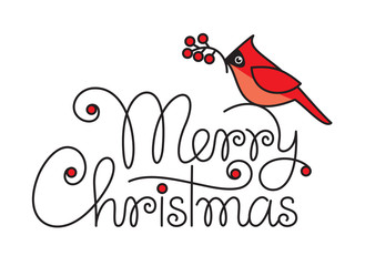 Merry christmas hand lettering with red robin bird and branch