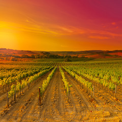 Tuscany