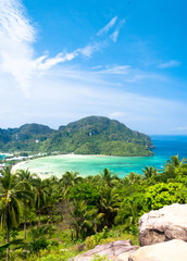 Idyllic Panorama Palm Island