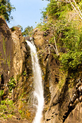 Fototapeta na wymiar Jungle Scene Water Falls