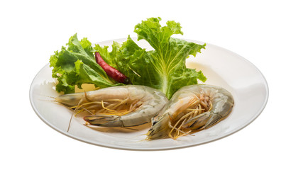 Tiger prawn