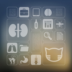 veterinary infographic with unfocused background