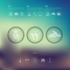 veterinary infographic with unfocused background