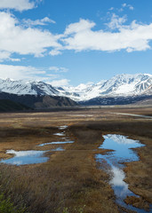 Fototapeta na wymiar Gulkana Glacier