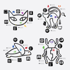 veterinary infographic