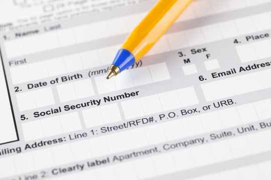 Social Security Number Fields In Application Form