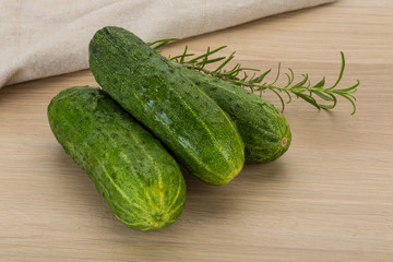 Cucumber