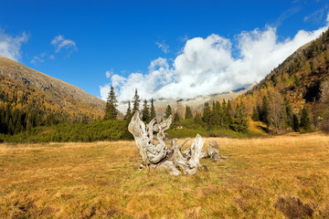 Val di Fumo - Adamello Trento Italy