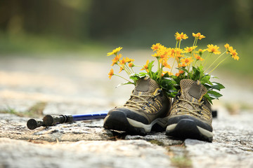hiking boots and yellow flowers