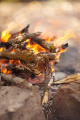 hand putting fir wood to fire