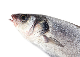 Fresh fish isolated on white