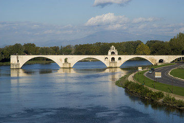 The Pont d'Avignon on the Petit Rhone 