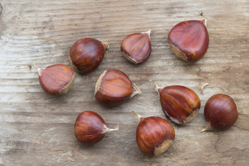 chestnuts of autumn background