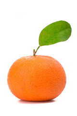 orange mandarins with green leaf isolated on white backgroun