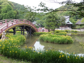 Fototapeta premium 橋