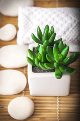 Spa Settings on beige  thin bamboo mat