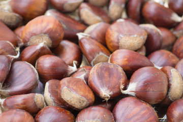 chestnuts background
