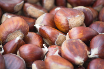 Obraz premium chestnuts background