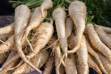 Fresh parsley root on the market